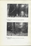 Ewidencja parkowa, skan nr 30