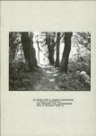 Ewidencja parkowa, skan nr 26