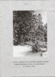 EP - Ewidencja parkowa, skan nr 23
