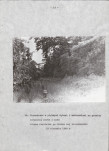 EP - Ewidencja parkowa, skan nr 27
