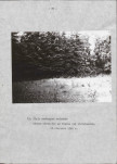 EP - Ewidencja parkowa, skan nr 30
