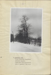 Ewidencja parkowa, skan nr 15