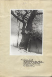 Ewidencja parkowa, skan nr 32