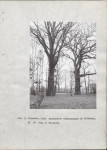Ewidencja parkowa, skan nr 14