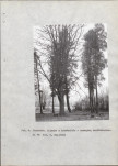 Ewidencja parkowa, skan nr 15