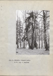 Ewidencja parkowa, skan nr 16