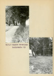 Ewidencja parkowa, skan nr 22