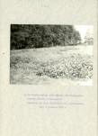 EP - Ewidencja parkowa, skan nr 16
