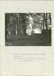 EP - Ewidencja parkowa, skan nr 22