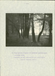 EP - Ewidencja parkowa, skan nr 23