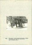 EP - Ewidencja parkowa, skan nr 20