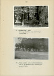 EP - Ewidencja parkowa, skan nr 21