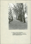 EP - Ewidencja parkowa, skan nr 26
