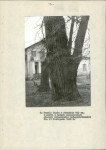 EP - Ewidencja parkowa, skan nr 28