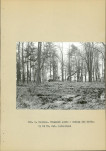 Ewidencja parkowa, skan nr 14