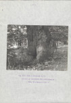 EP - Ewidencja parkowa, skan nr 29
