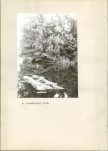 Ewidencja parkowa, skan nr 21