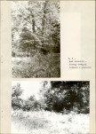 Ewidencja parkowa, skan nr 22