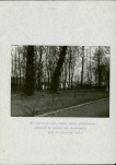 EP - Ewidencja parkowa, skan nr 31