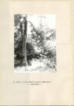 Ewidencja parkowa, skan nr 26