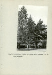 Ewidencja parkowa, skan nr 15