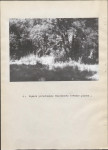 Ewidencja parkowa, skan nr 25