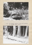 Ewidencja parkowa, skan nr 26