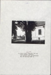 EP - Ewidencja parkowa, skan nr 23