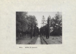 EP - Ewidencja parkowa, skan nr 22