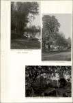 Ewidencja parkowa, skan nr 21