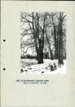 EP - Ewidencja parkowa, skan nr 13