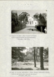 Ewidencja parkowa, skan nr 16