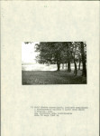 EP - Ewidencja parkowa, skan nr 22