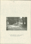 EP - Ewidencja parkowa, skan nr 19