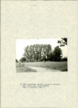 EP - Ewidencja parkowa, skan nr 19