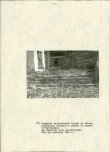 EP - Ewidencja parkowa, skan nr 19