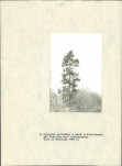 EP - Ewidencja parkowa, skan nr 20