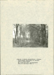 EP - Ewidencja parkowa, skan nr 26