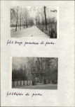 EP - Ewidencja parkowa, skan nr 15