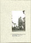 EP - Ewidencja parkowa, skan nr 22