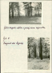 EP - Ewidencja parkowa, skan nr 18