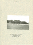 EP - Ewidencja parkowa, skan nr 31