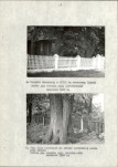 Ewidencja parkowa, skan nr 16