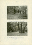 Ewidencja parkowa, skan nr 23