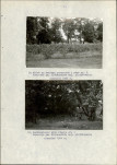 EP - Ewidencja parkowa, skan nr 22