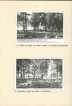 Ewidencja parkowa, skan nr 21