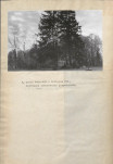 Ewidencja parkowa, skan nr 22