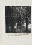 EP - Ewidencja parkowa, skan nr 66