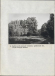 EP - Ewidencja parkowa, skan nr 73