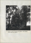 EP - Ewidencja parkowa, skan nr 76